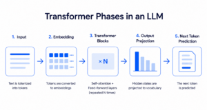 Diagram of the five transformer phases in an LLM: input tokenized, tokens embedded, N transformer blocks, output projected to vocabulary, next token predicted