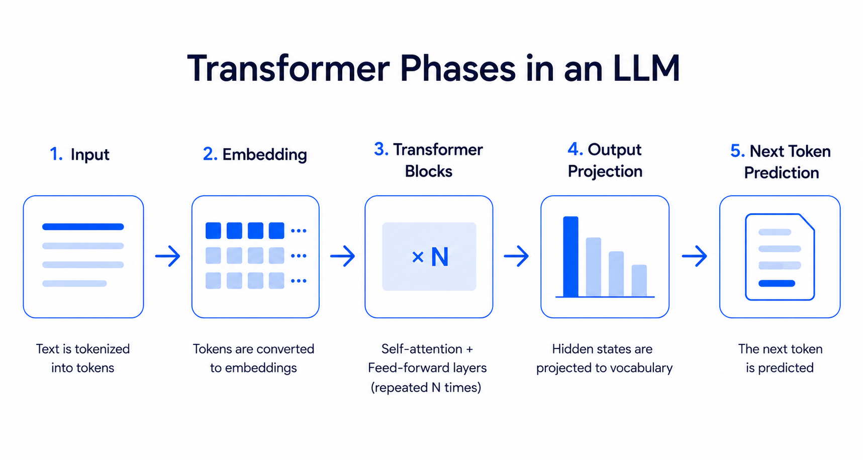 Diagram of the five transformer phases in an LLM: input tokenized, tokens embedded, N transformer blocks, output projected to vocabulary, next token predicted